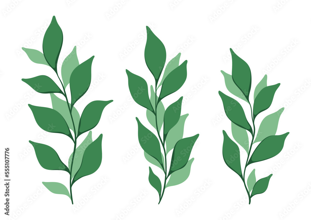 Set with herbs on a white background. Isolated image of branches with small green leaves, collection of cute out leafy twigs. Vector illustration, modern design.