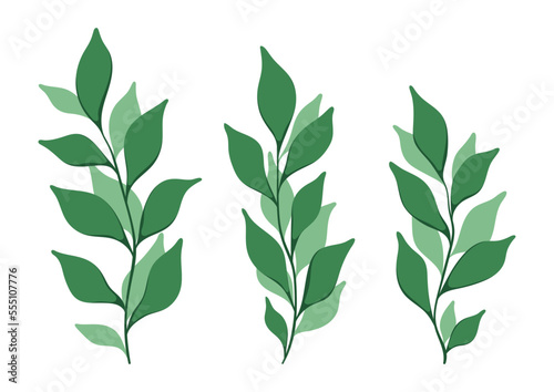 Set with herbs on a white background. Isolated image of branches with small green leaves  collection of cute out leafy twigs. Vector illustration  modern design.
