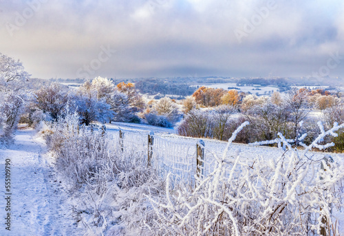 Winterliche Aussicht vom Rodderberg in Richtung der Stadt Bonn photo