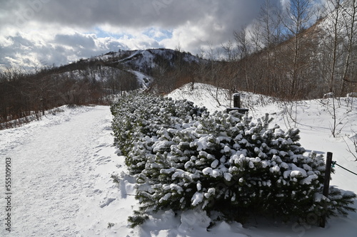 Hokkaido, Japan - December 15, 2022: Lake Toya During Winter Season photo