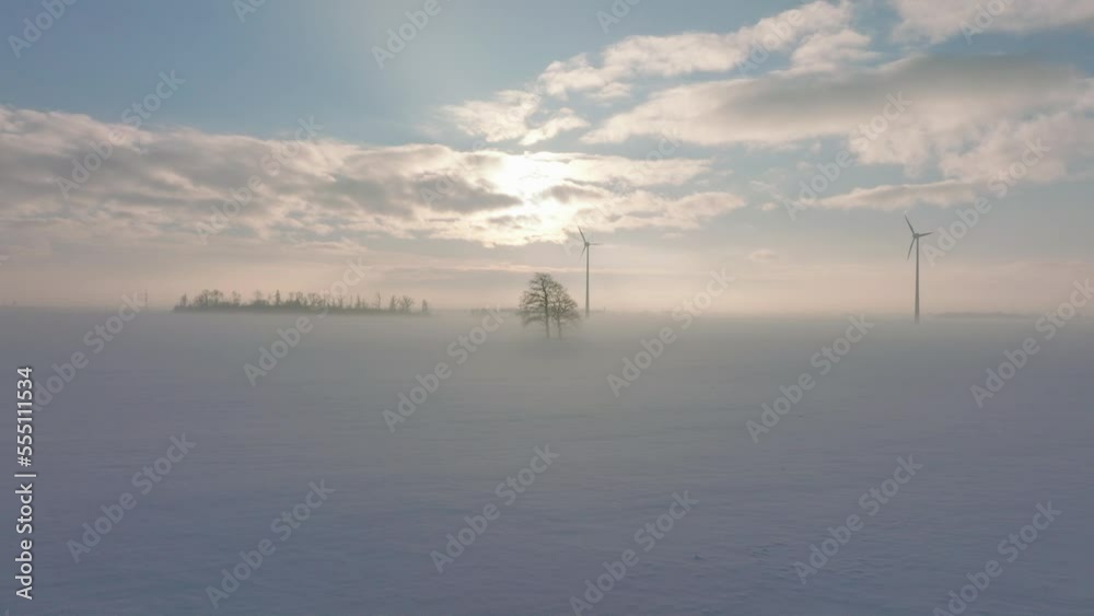 Aerial view of wind turbines generating renewable energy in the wind farm, snow filled countryside landscape with fog and lone oak tree, sunny winter day, wide establishing drone shot moving forward Aerial view of wind turbines generating renewable energy in the wind farm, snow filled countryside landscape with fog and lone oak tree, sunny winter day, wide establishing drone shot moving forward