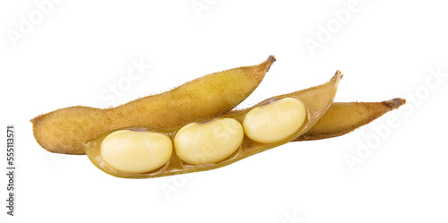 soy bean on transparent png