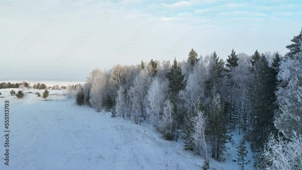 Winter mixed forest covered in frost early in the morning. Winter mixed forest covered in frost early in the morning.