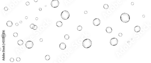 bubbles on transparent background