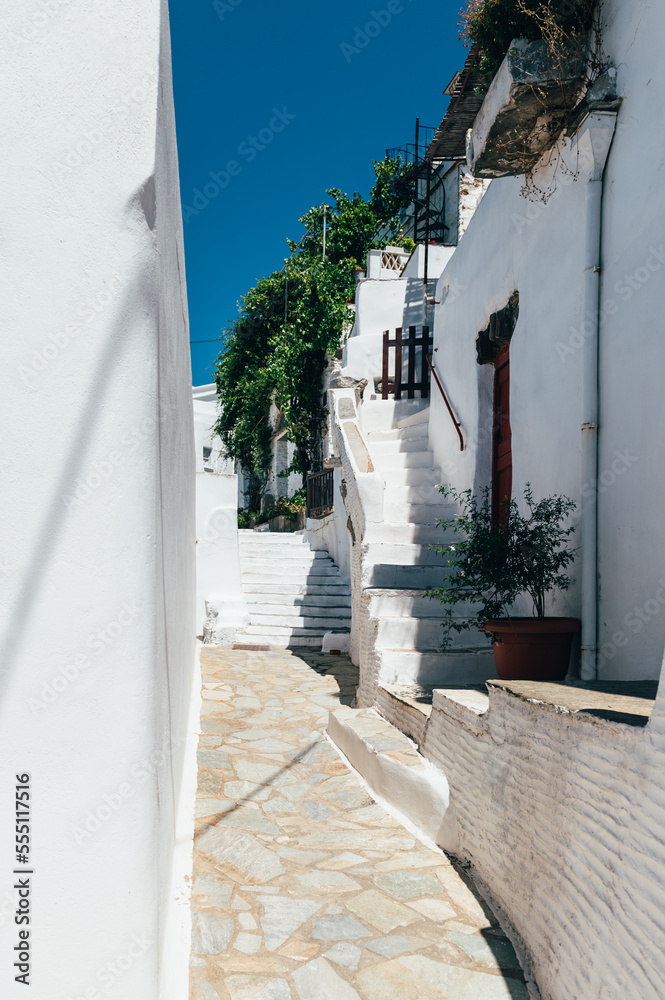 Naklejka premium Streets of village on Tinos island with Cycladic houses and the Bougainvillea flowers tree, Cyclades, Greece