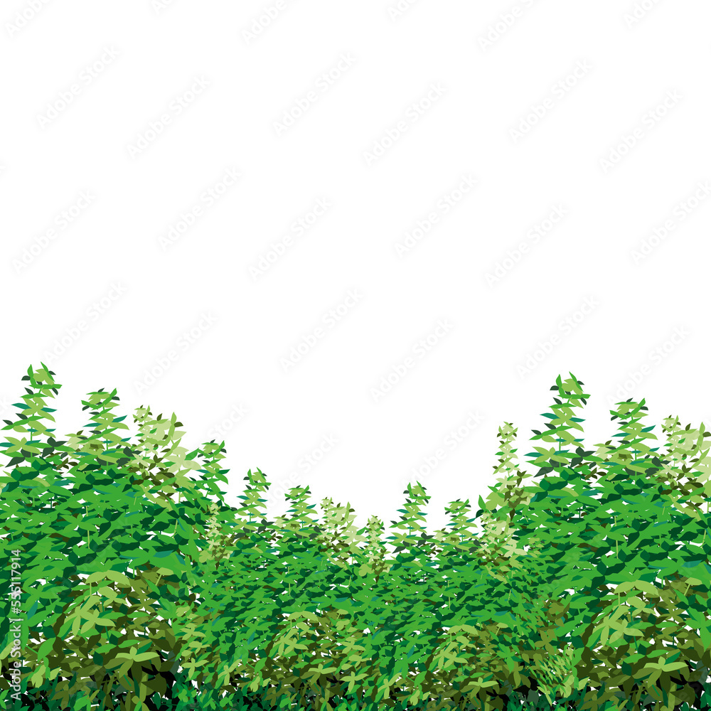 Ornamental green plant in the form of a hedge.Realistic garden shrub, seasonal bush, boxwood, tree crown bush foliage.For decorate of a park, a garden or a green fence.

