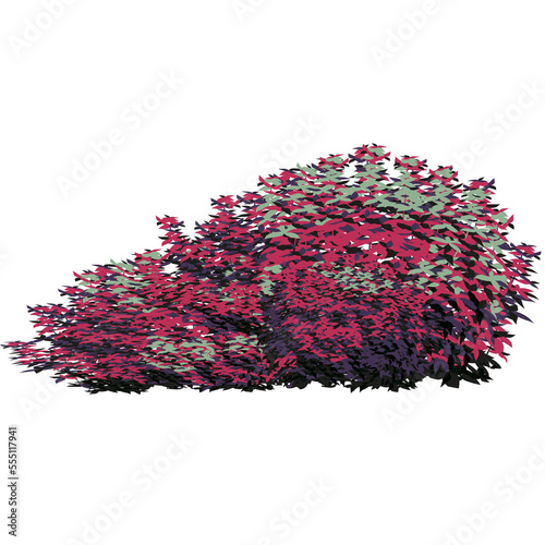 Slika na platnu Ornamental green plant in the form of a hedge