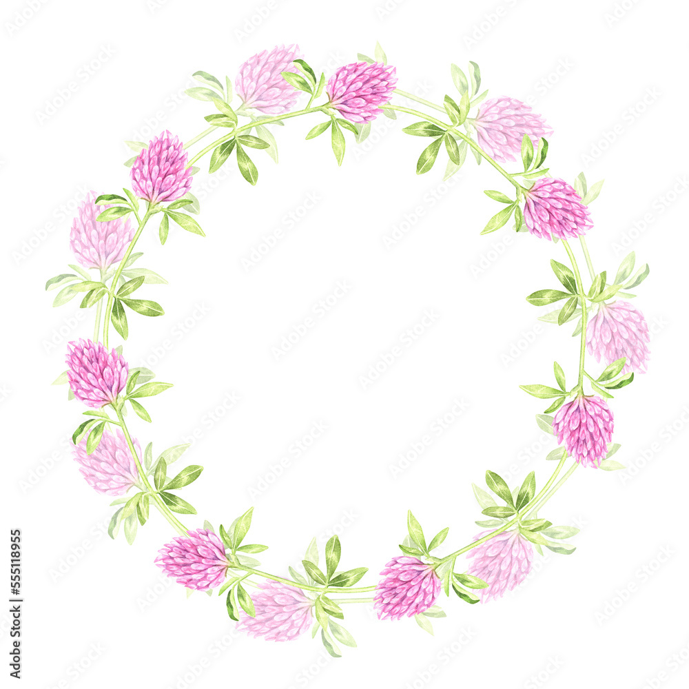 Round wreath of blooming clover. St.Patrick 's Day. Watercolor illustration. Isolated on a white background.For your design packages of seeds, goods for a garden, stickers, organic products, stickers