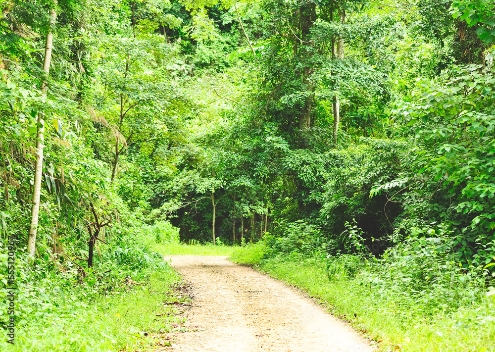 Fototapeta premium Rural country road on the mountain, Thailand