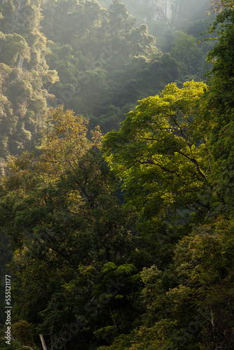 Sunbeams pierce the deep green rainforest in the karst mountains of Cheow Lan Lake, Khao Sok, Thailand