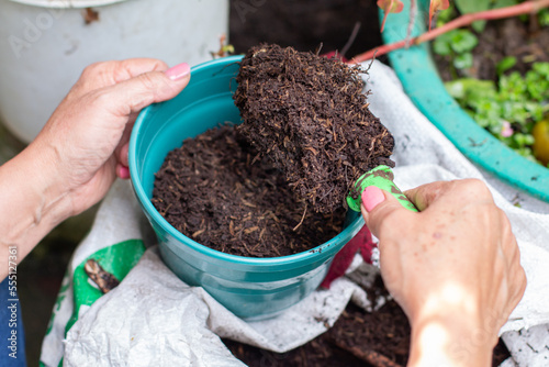 A woman's hands pour compost into a new pot. Gardening work.