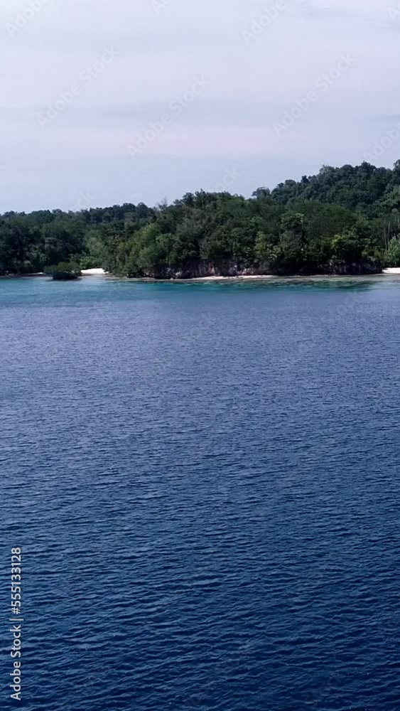 Vertical aerial video of diving boat along tropical island with shallow reef Vertical aerial video of diving boat along tropical island with shallow reef