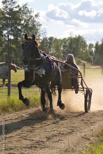 Lady trains a horse sitting in a sulky on a track © Micke