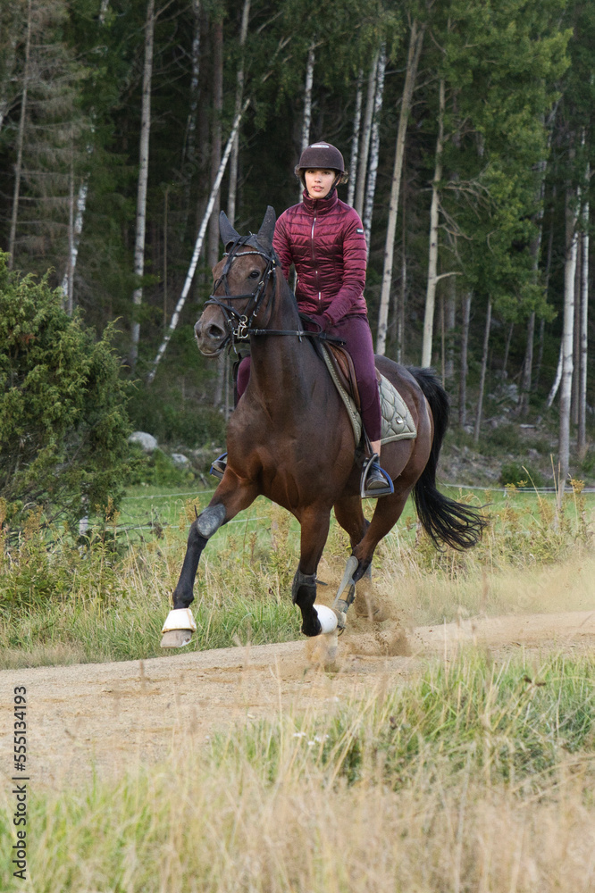 Lady trains a horse sitting in a sulky on a track