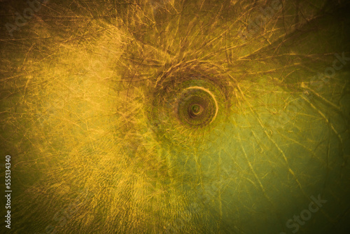 abstract tree texture