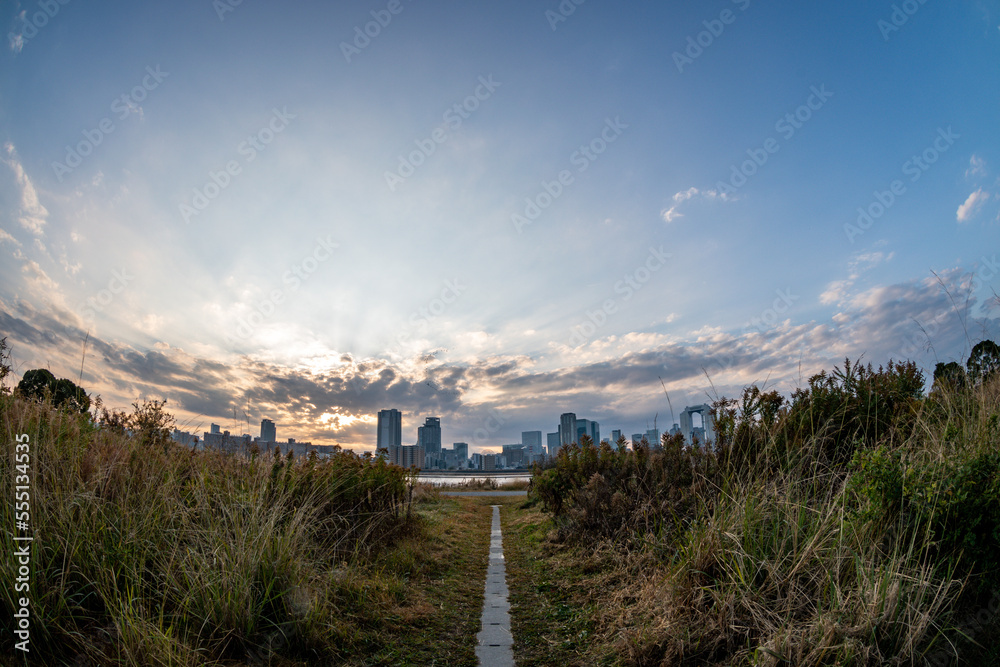 View of a path surrounded by plants with a river and Umeda city in the background during sunrise