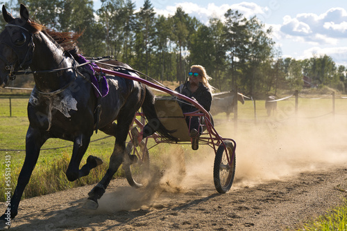 Canvastavla Lady trains a horse sitting in a sulky on a track