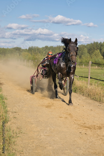 Lady trains a horse sitting in a sulky on a track © Micke