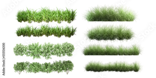 grass isolated