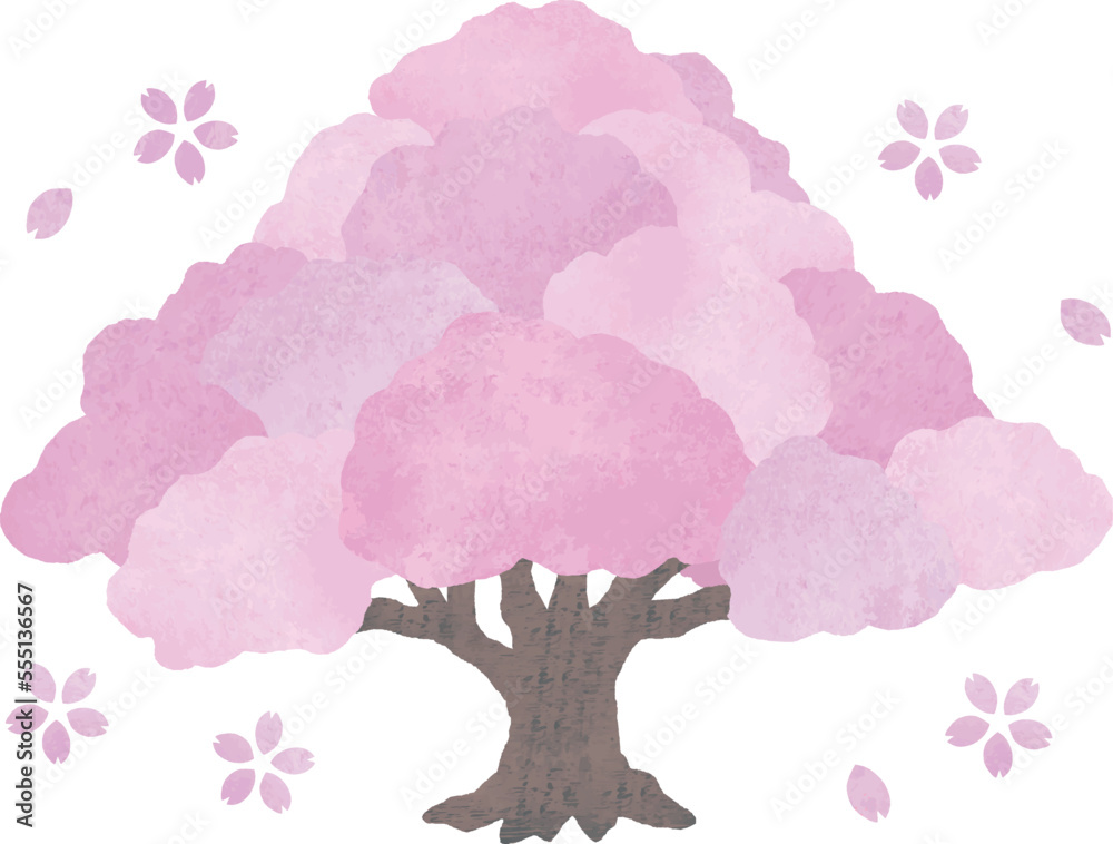 桜の大木水彩画2
