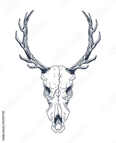 reindeer skull boho style