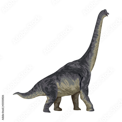 Fototapeta Naklejka Na Ścianę i Meble -  brochiosaurus dinosaur prehistoric animal