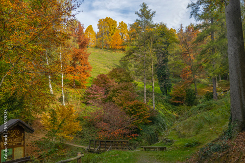 View of the Natural reserve of the Burcina  Felice Piacenza  Park in autumn   province of Biella  Piedmont  Italy.
