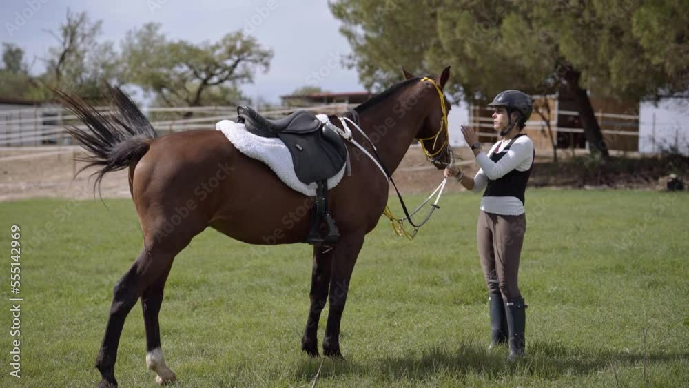Pretty jockey girl feeding the horse with green grass after making a ride in the hills and going back. Concept of equestrian, horse riding as hobby and horse care Pretty jockey girl feeding the horse with green grass after making a ride in the hills and going back. Concept of equestrian, horse riding as hobby and horse care