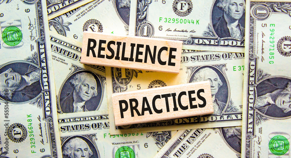 Resilience practices symbol. Concept word Resilience practices typed wooden blocks. Beautiful background from dollar bills. Business and resilience practices concept. Copy space.