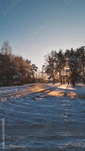 The road against the background of the forest in the backlight in winter. Long shadows from the pine trees on the roadside in the evening. Busy traffic of cars on the highway. Power pylon line against