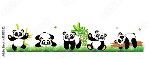 Collection of panda object set with bamboo grass tress and butterfly. vector illustration