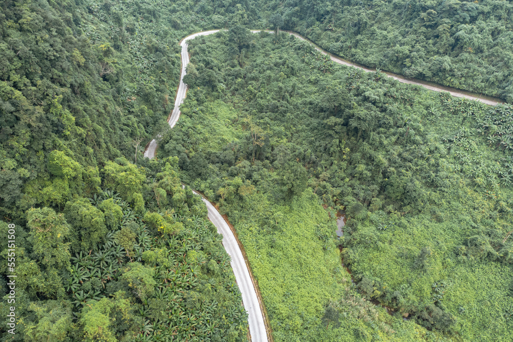 Road Winding Through Jungle, Phong National Heritage Area, Vietnam