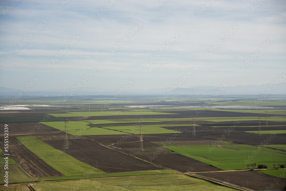 Paisaje de campos sembrados con trigo. 