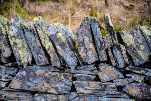 Beautiful lichen colours on tops of an old drystone wall photo