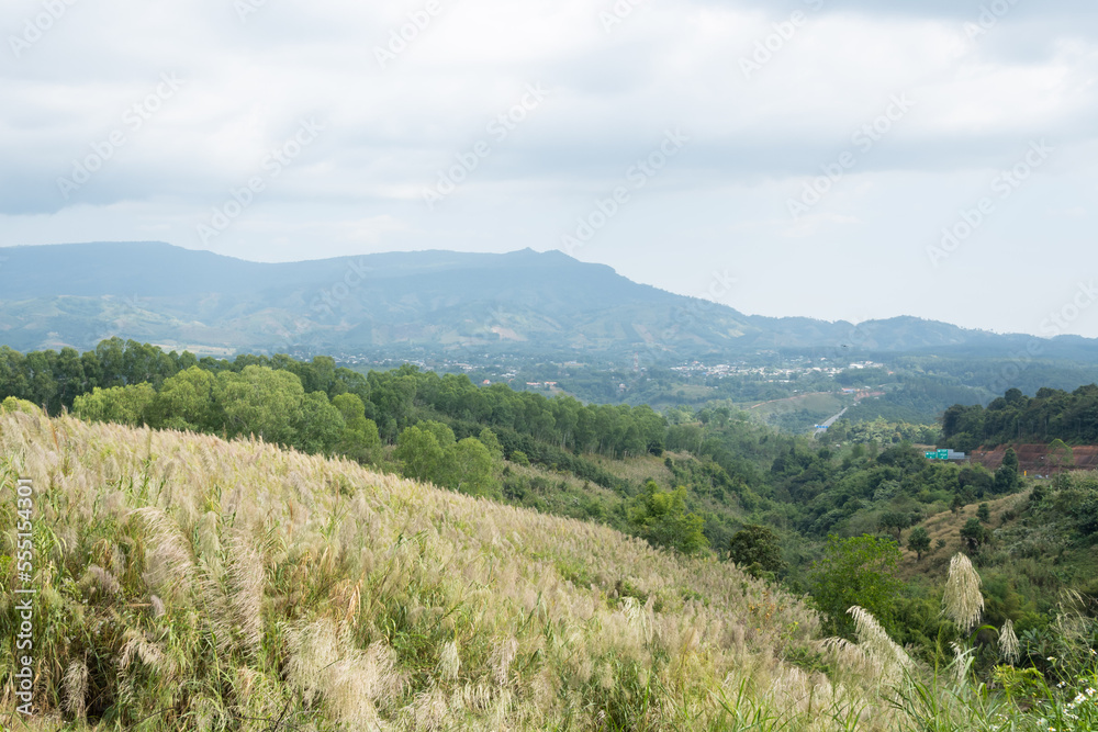 Obraz premium landscape in the mountains