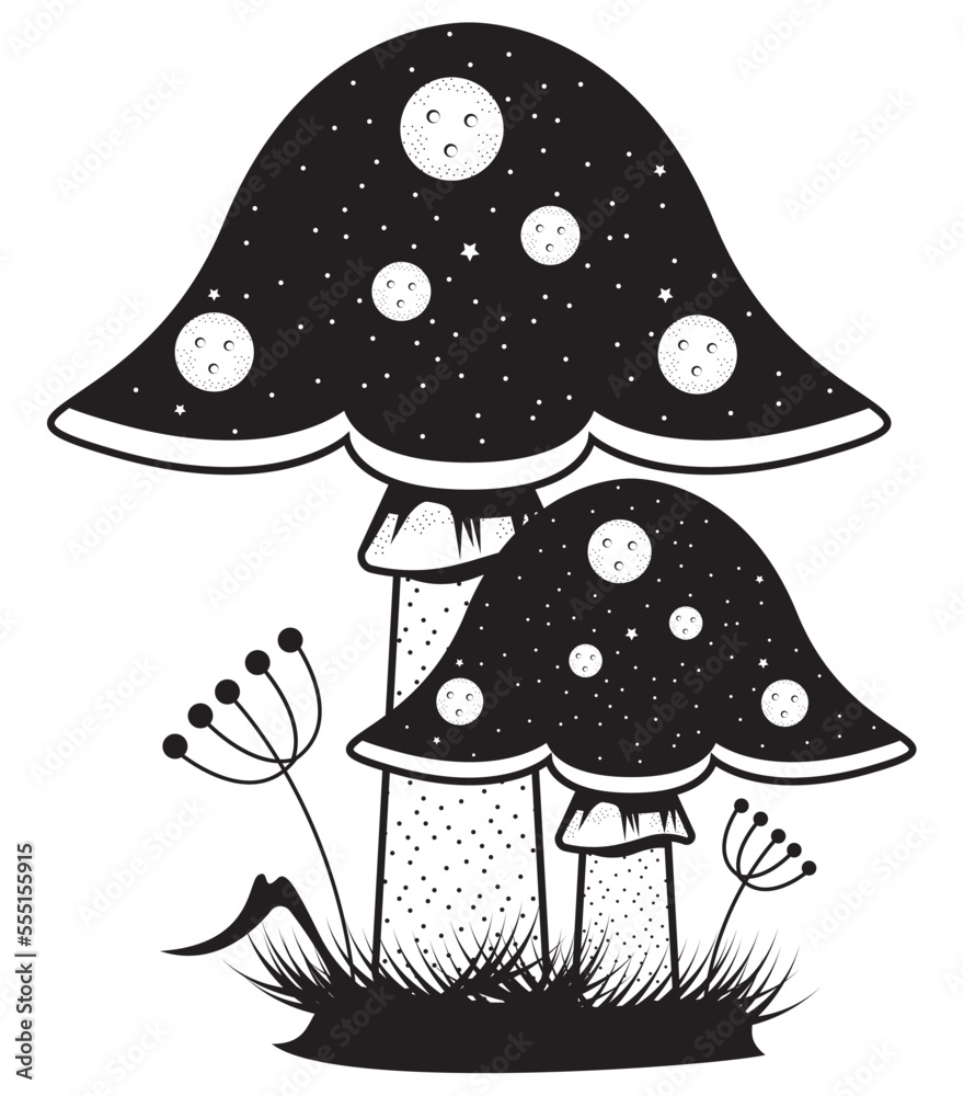 two mushrooms plants surreal two mushrooms plants surreal