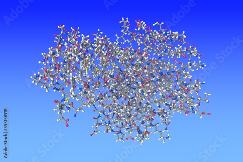 Human thioesterase 2. Molecular model. Atoms are shown as spheres with conventional color coding  carbon  grey   oxygen  red   hydrogen  white   nitrogen  blue   sulfur  yellow . 3d illustration
