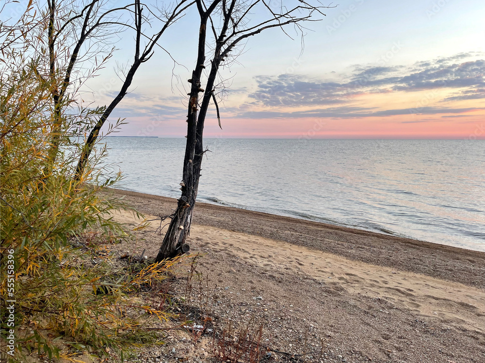 Sunrise over Lake Khanka in October. Russia, Primorsky Krai