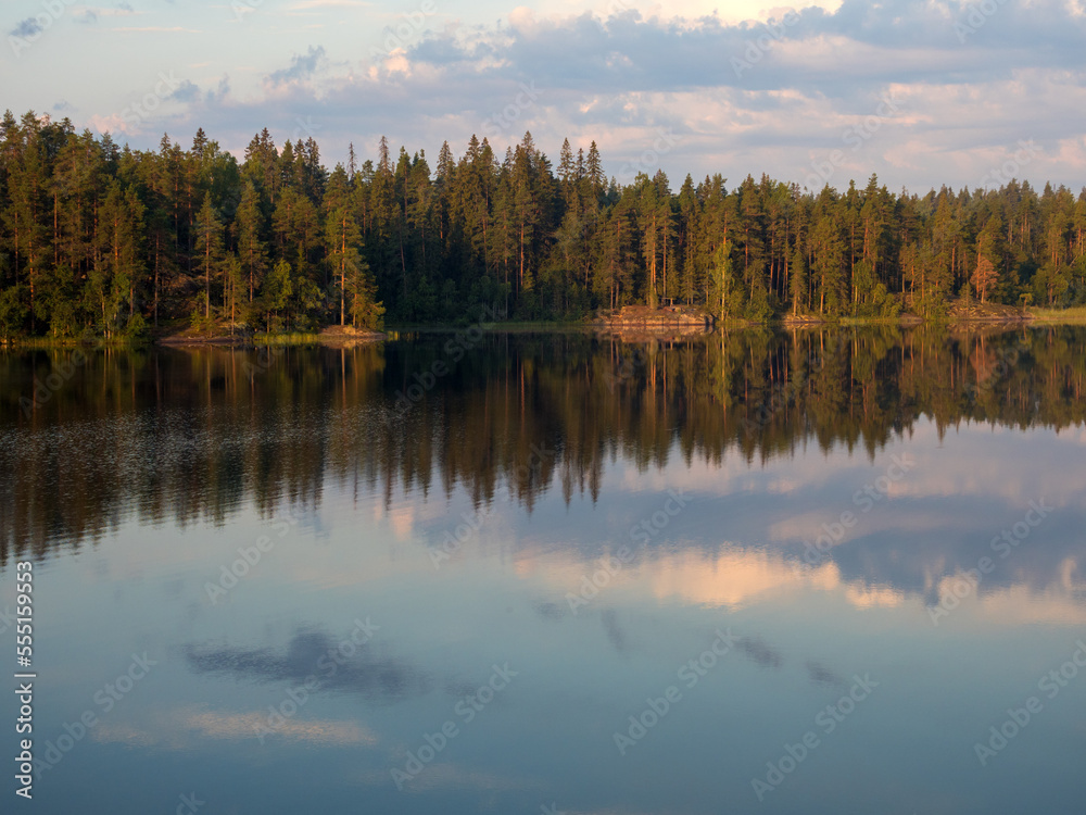 reflections on a forest lake