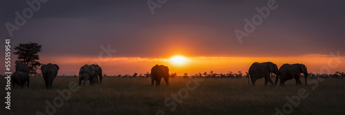 Panorama of African elephants (Loxodonta africana) silhouetted at sunset, Maasai Mara National Reserve; Kenya