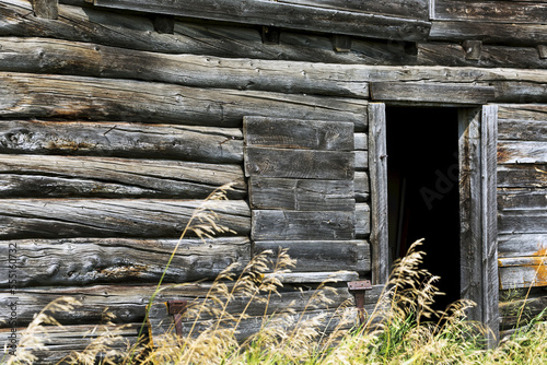 Close-up of a wall of an old wooden barn with door opening; Erickson, Manitoba, Canada photo