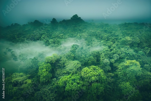 Misty morning in the mountains full of fog over the Jungle/Forest © CREATIVE STOCK