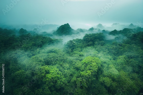 Misty morning in the mountains full of fog over the Jungle/Forest