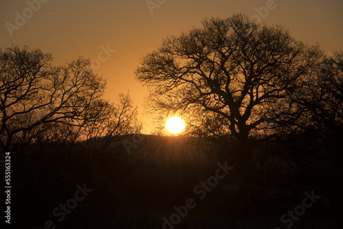 Bright Orange Winter Sunrise in a Rural Landscape