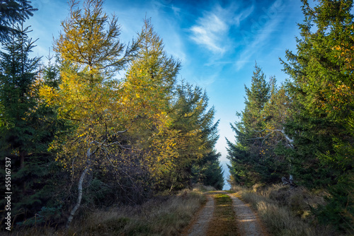 Autumn nature on the Jizera mountains in Bohemia