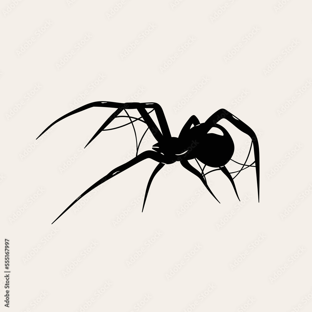 Black Widow spider with spider web. Deadly venomous spider. Hand drawn