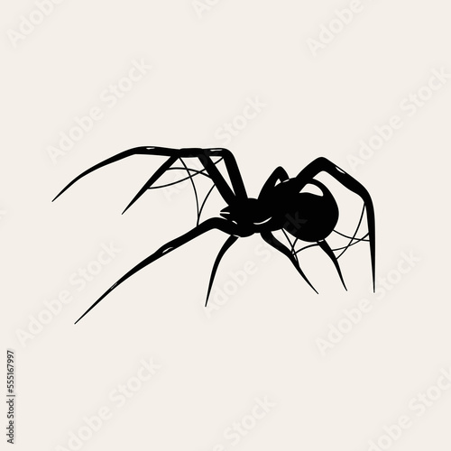 Black Widow spider with spider web. Deadly venomous spider. Hand drawn Vector isolated illustration. Logo, icon, tattoo idea, halloween decoration, poster, card, design element template