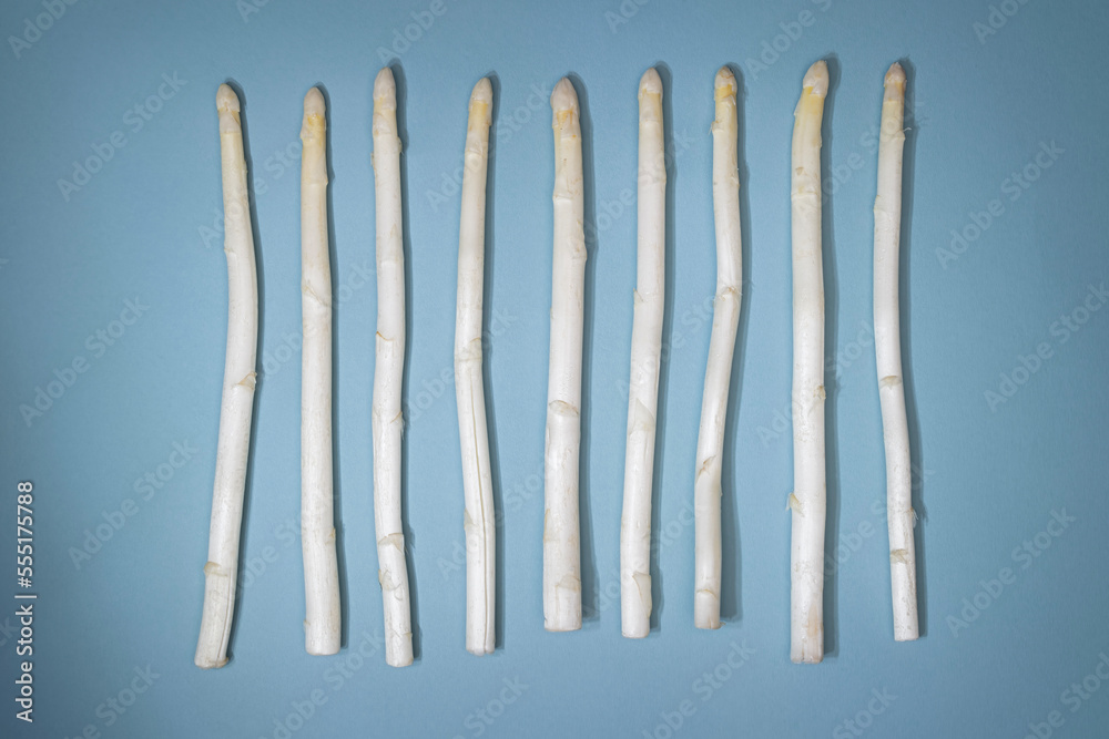White asparagus in a line on blue- gray background with shadow White asparagus in a line on blue- gray background with shadow