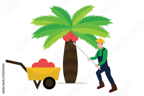 The farmer harvesting palm oil design vector flat isolated illustration