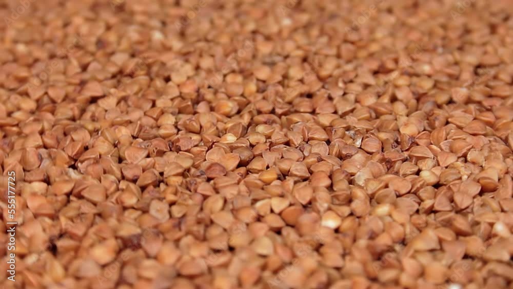 Dry Uncooked Brown Buckwheat Groats Rotating. Raw Large Buckwheat Grains. Russian, Ukrainian and Belarusian Culture Dry Uncooked Brown Buckwheat Groats Rotating. Raw Large Buckwheat Grains. Russian, Ukrainian and Belarusian Culture